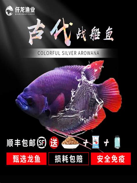 戰船魚吃什麼|招財魚(戰船魚):外形特徵,分布範圍,生活習性,飼養方法,水質要求,。